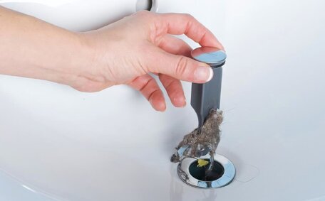 Risks Ignoring Blocked Drain